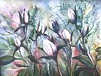 Spring Buds